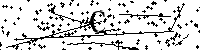 以下に表示されている数字を入力してください