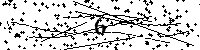 以下に表示されている数字を入力してください