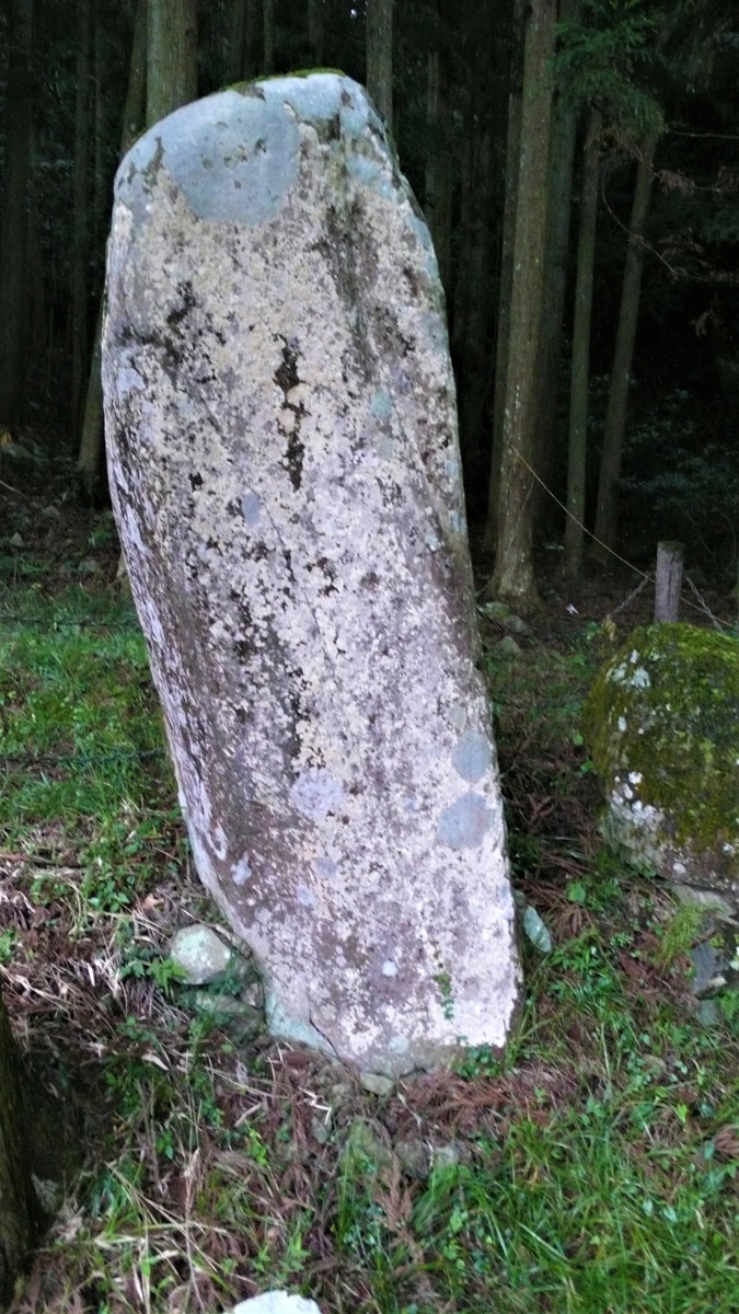 2022年9月1日 大分県宇佐市安心院_その1