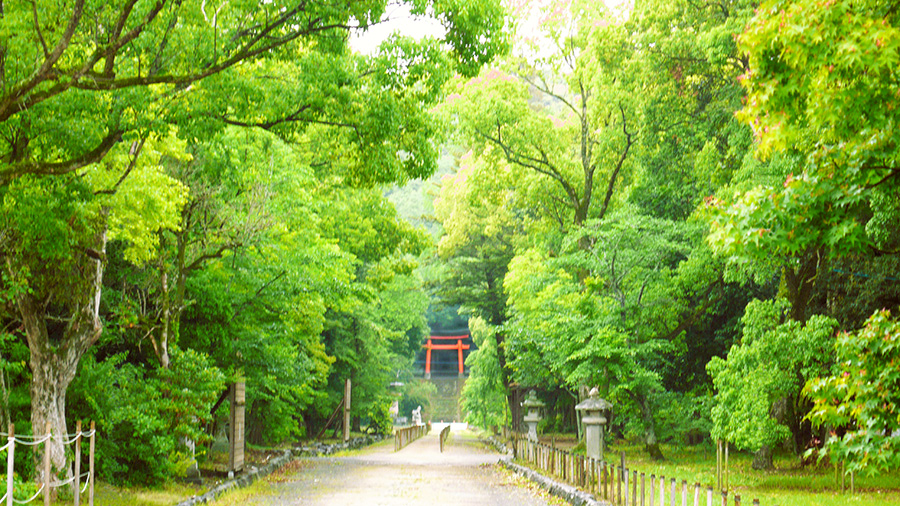 2023年5月19日 大分県宇佐八幡宮_その1