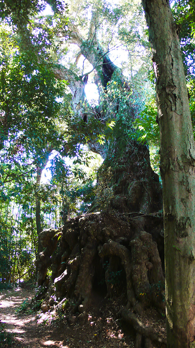 2023年9月29日 熊本県菊池市_その7