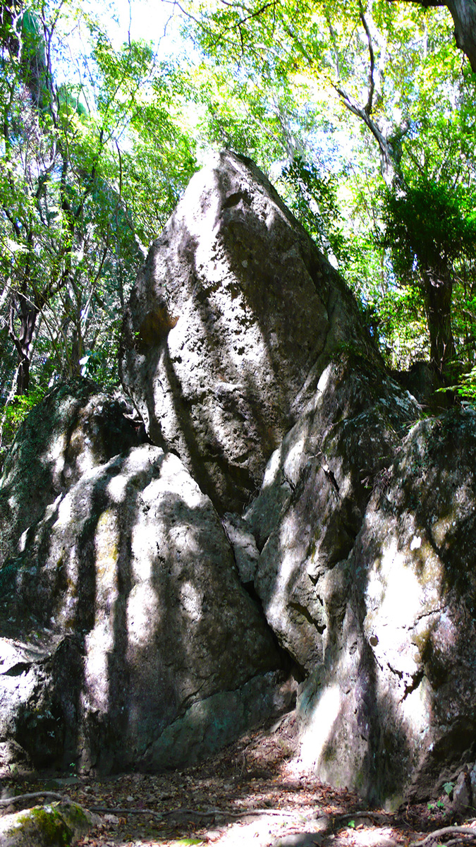 2023年11月3日 大分県大分市_その2