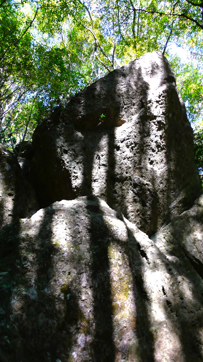 2023年11月3日 大分県大分市_その3