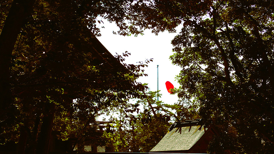 2024年3月17日 島根県出雲市_その4