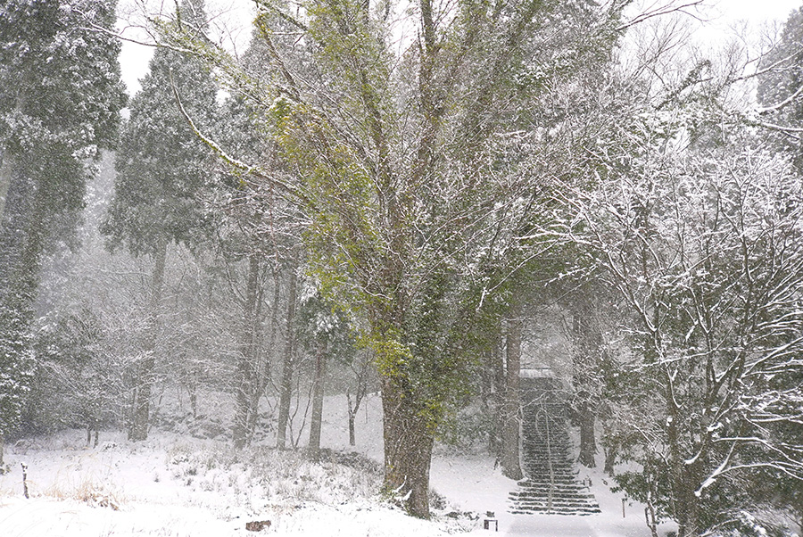 2024年3月20日 岡山県奈義町_その2