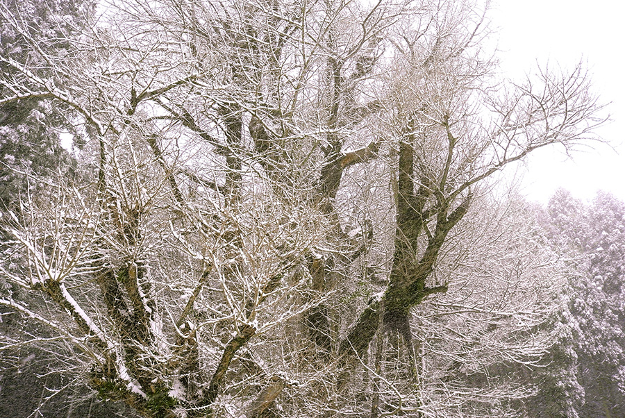 2024年3月20日 岡山県奈義町_その4