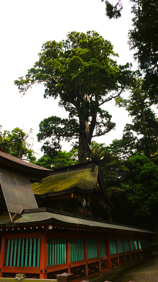 2024年5月19日 茨城県鹿嶋市_その1