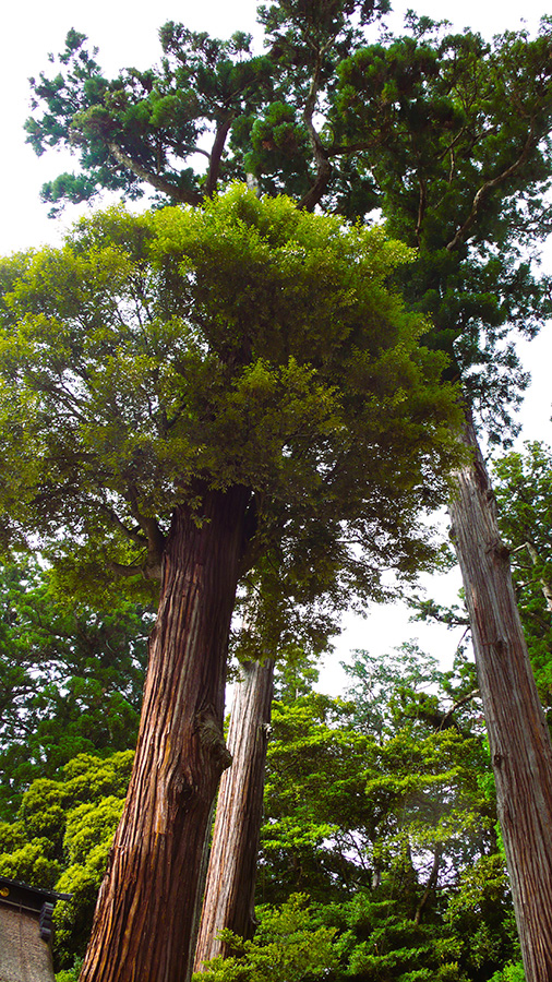 2024年5月19日 茨城県鹿嶋市_その2