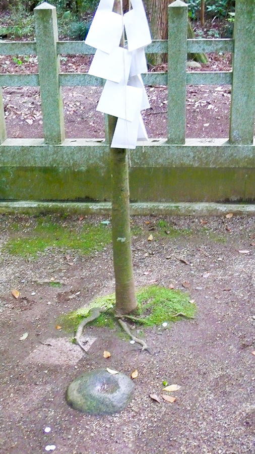 2024年5月19日 茨城県鹿嶋市_その3