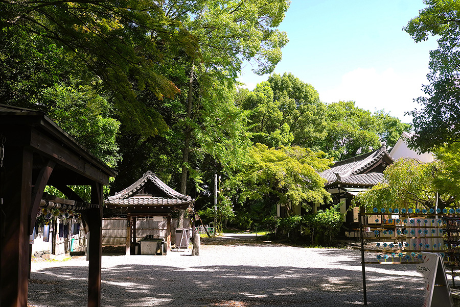 2024年9月14日 大阪府三島郡_その2