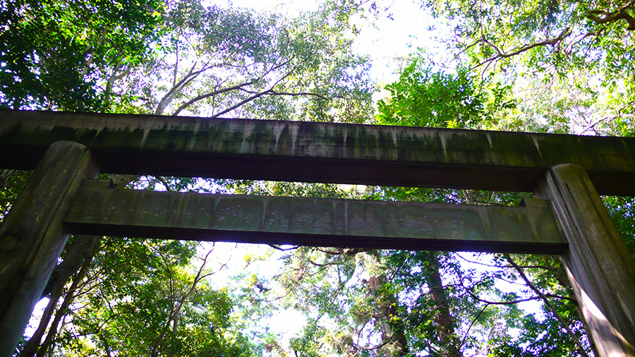 2024年11月4日 三重県伊勢外宮_その3